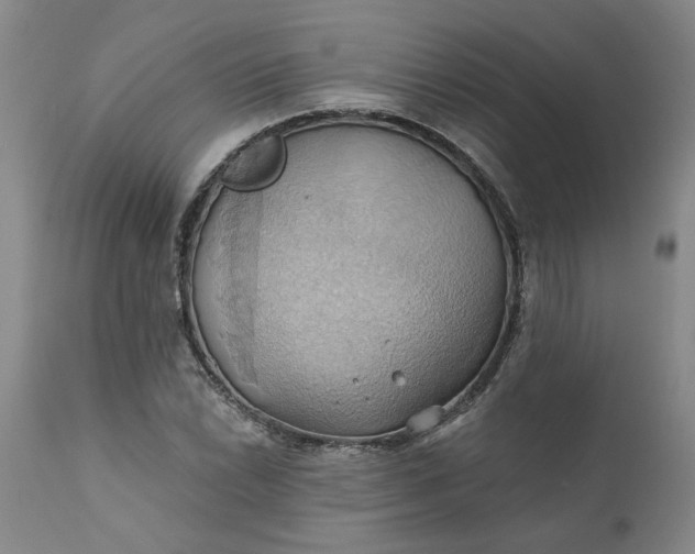 X0000110681022200906261316