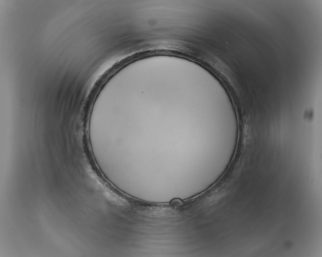 X0000110681024200906261316