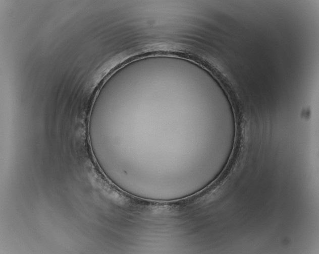 X0000110681025200906261316