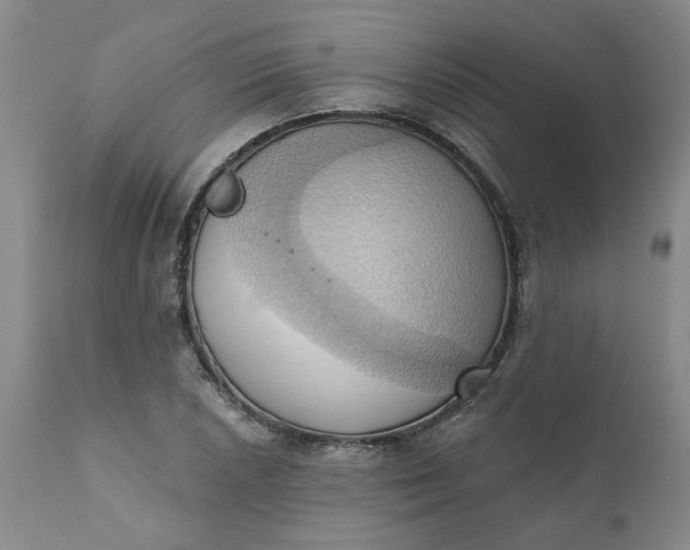 X0000110681026200906261316