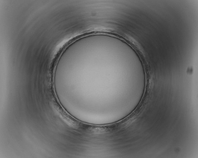 X0000110681027200906261316