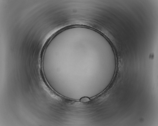 X0000110681028200906261316