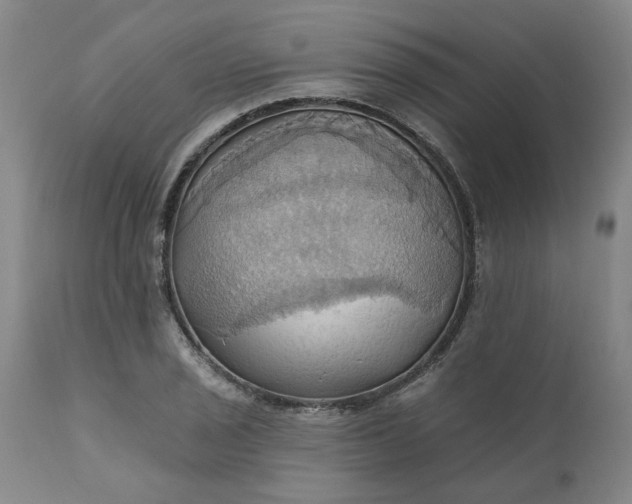 X0000110681029200906261316