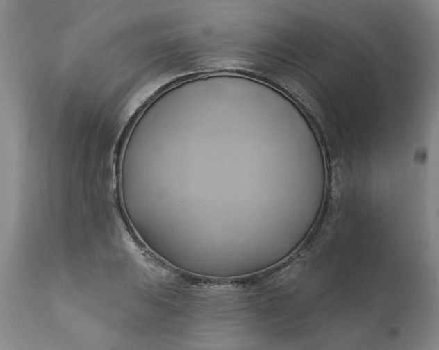 X0000110681031200906261316