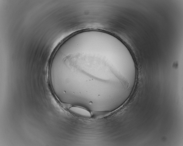 X0000110681032200906261316