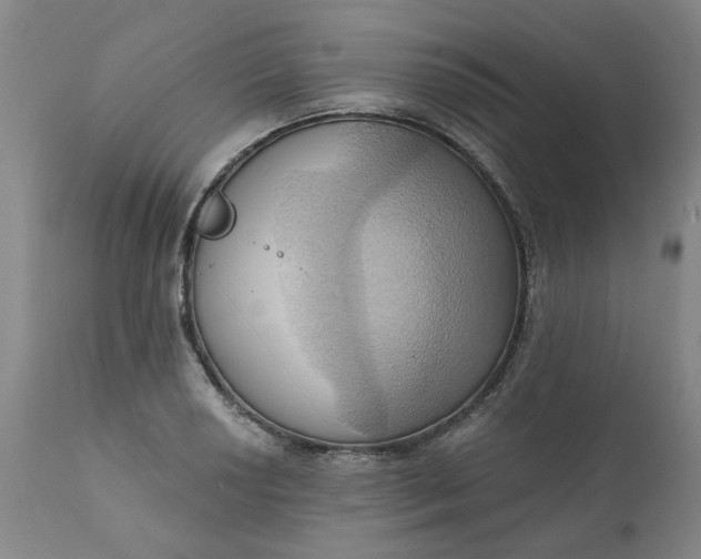 X0000110681034200906261316