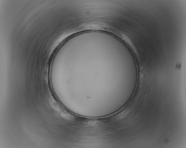 X0000110681035200906261316