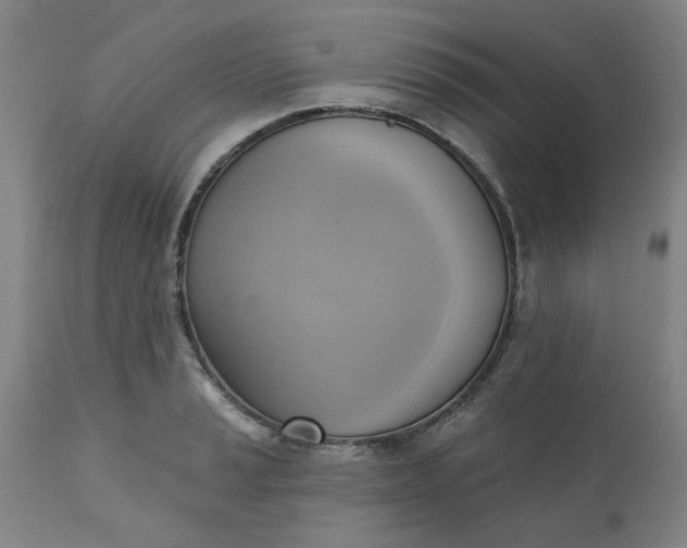 X0000110681037200906261316