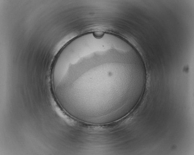 X0000110681042200906261316