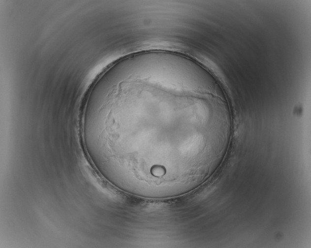 X0000110681043200906261316