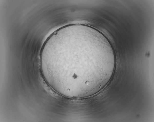 X0000110681044200906261316