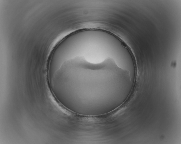 X0000110681045200906261316