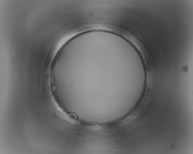 X0000110681048200906261316