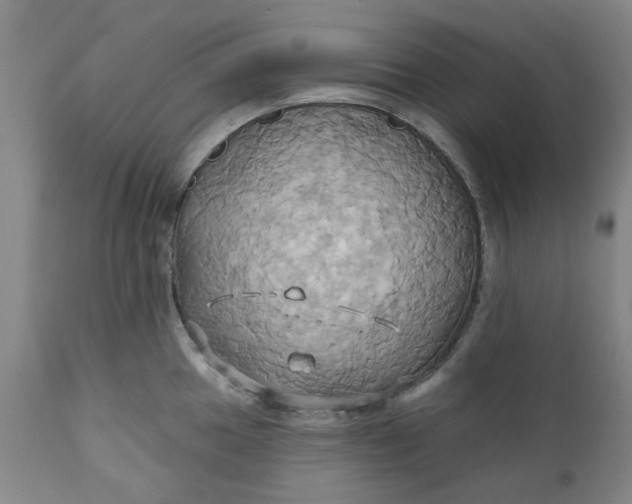 X0000110681049200906261316