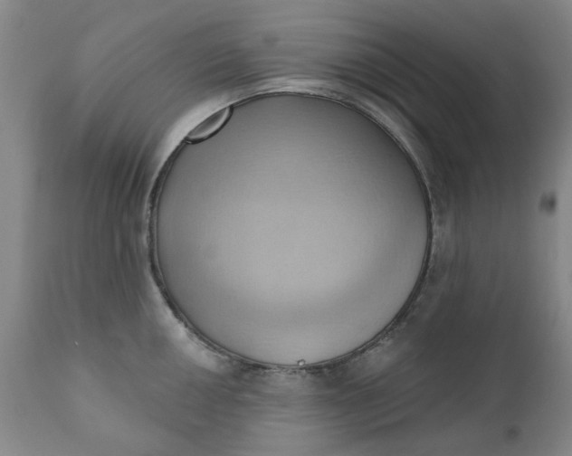 X0000110681050200906261316