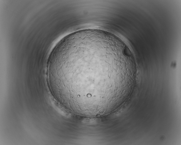 X0000110681051200906261316