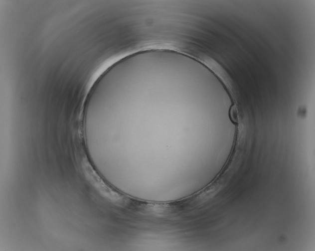 X0000110681052200906261316