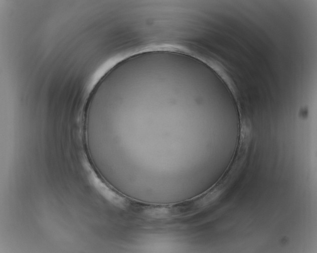 X0000110681054200906261316