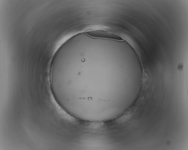 X0000110681055200906261316