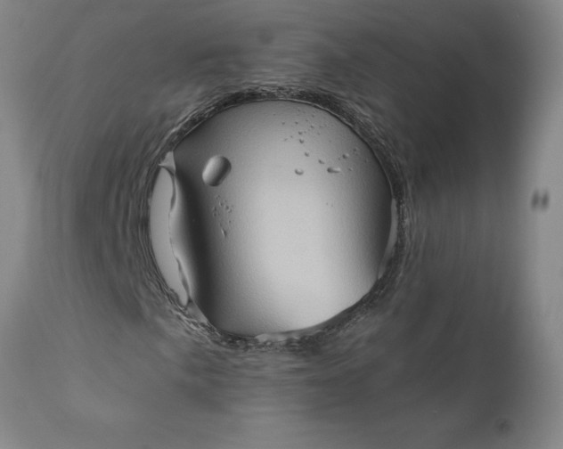 X0000110681057200906261316