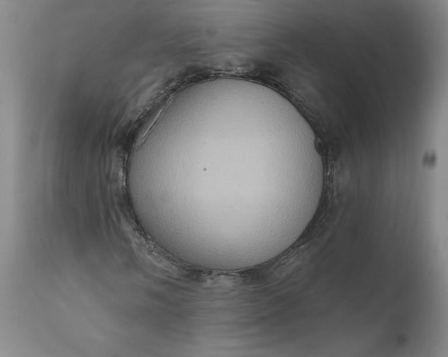 X0000110681058200906261316