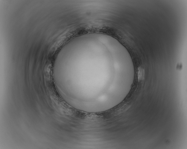 X0000110681059200906261316