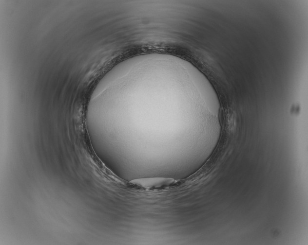 X0000110681060200906261316