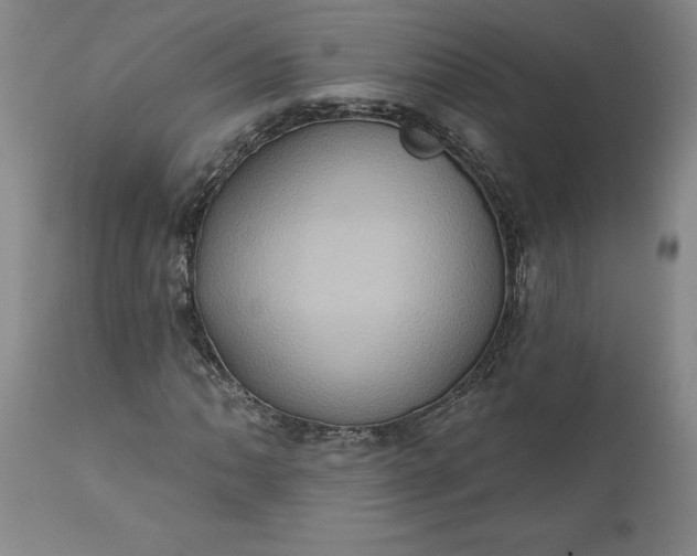 X0000110681062200906261316