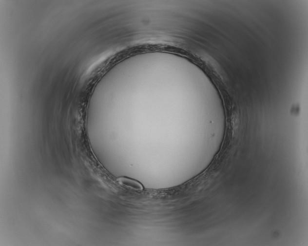 X0000110681064200906261316