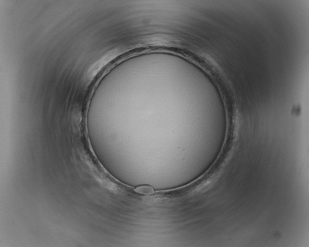 X0000110681065200906261316