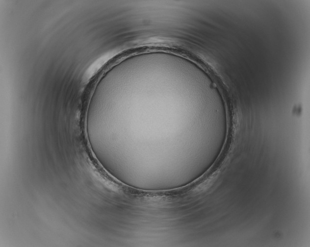 X0000110681066200906261316