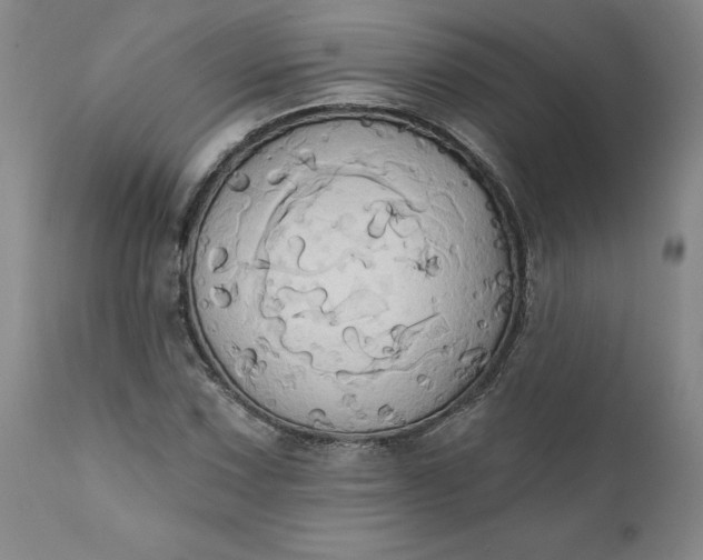 X0000110681067200906261316