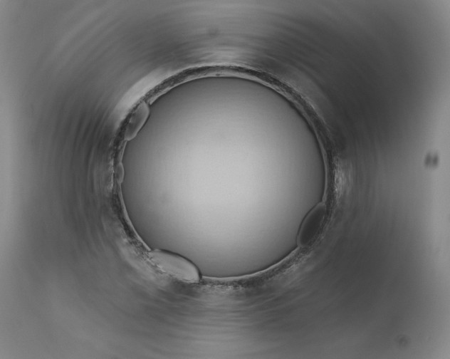 X0000110681069200906261316