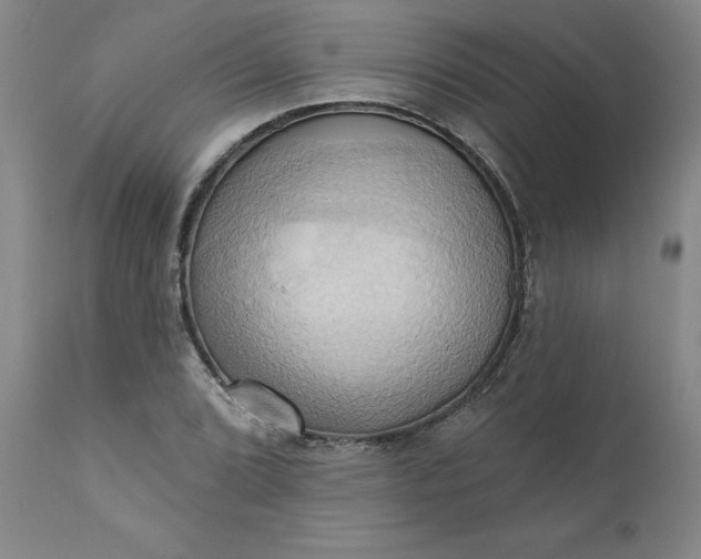 X0000110681072200906261316