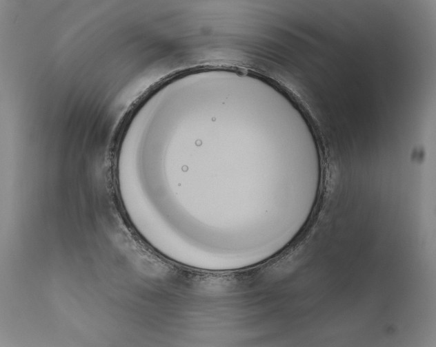 X0000110681074200906261316