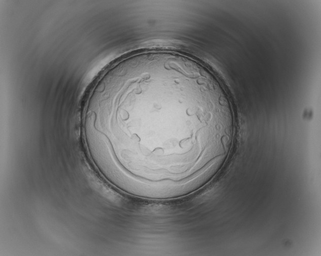 X0000110681075200906261316