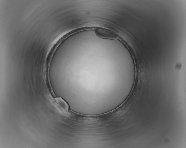 X0000110681076200906261316