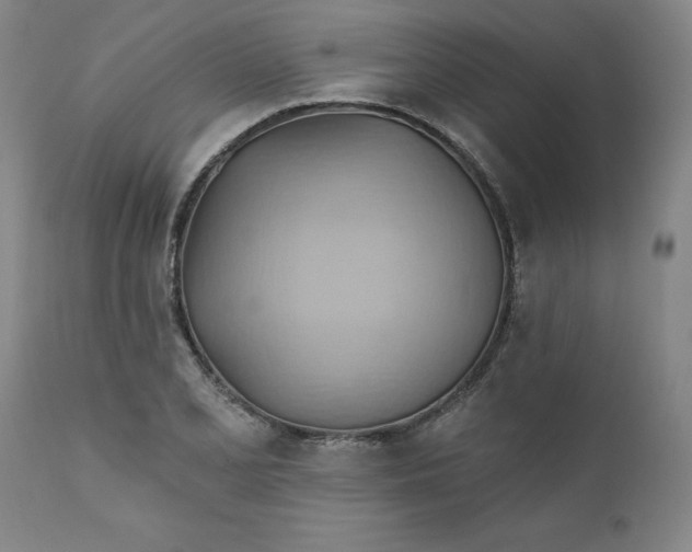 X0000110681077200906261316