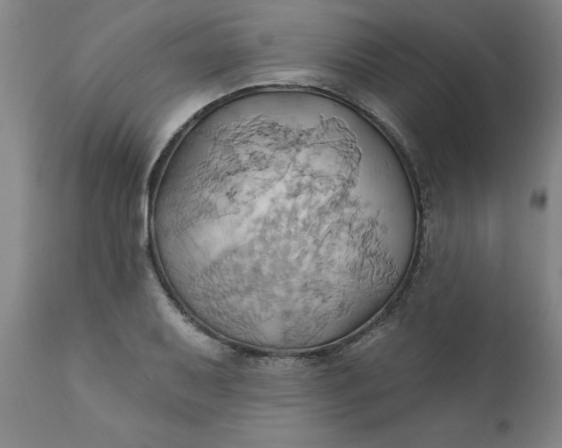 X0000110681079200906261316