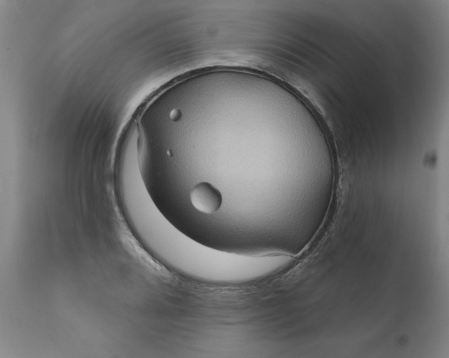 X0000110681080200906261316