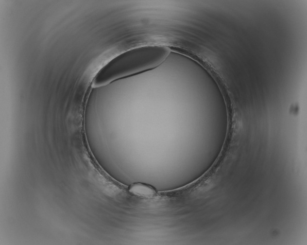 X0000110681081200906261315