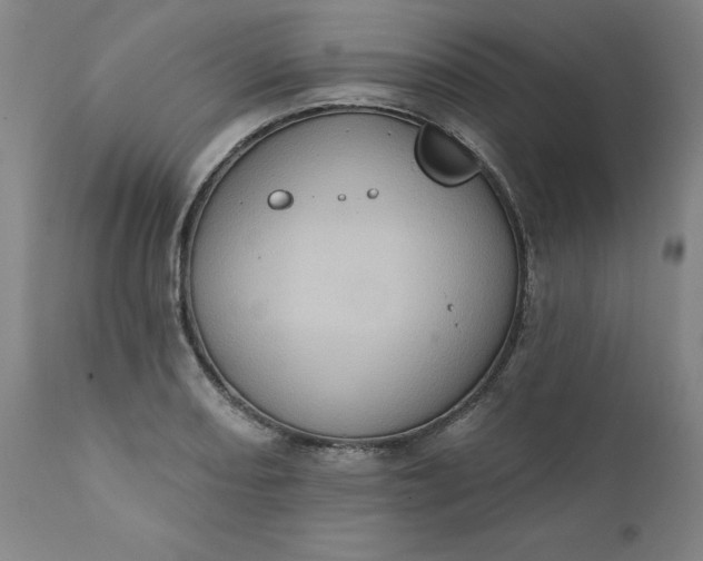 X0000110681082200906261315