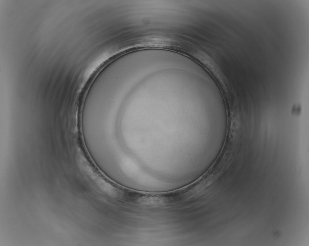 X0000110681083200906261315