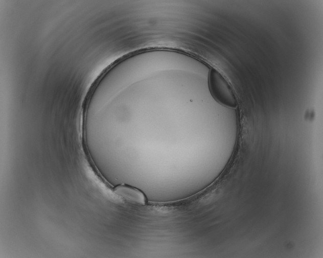 X0000110681084200906261315