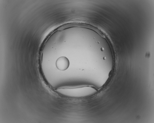 X0000110681085200906261315