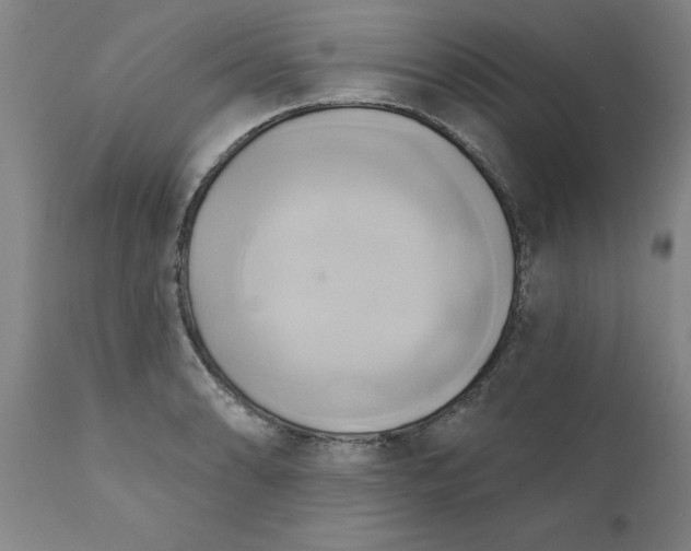 X0000110681086200906261315