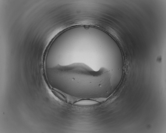 X0000110681087200906261315