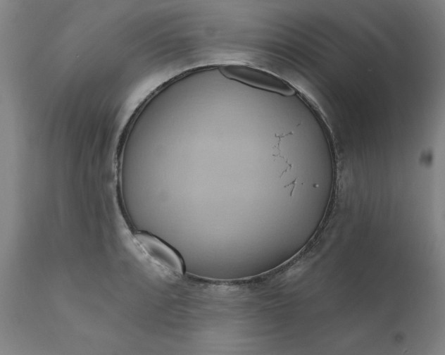 X0000110681088200906261315