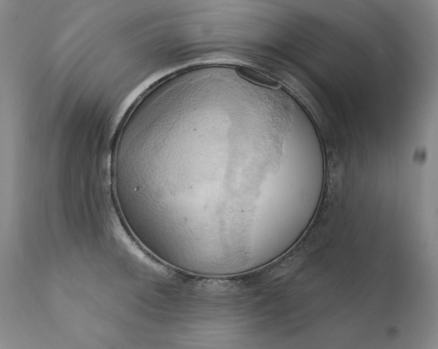 X0000110681092200906261315