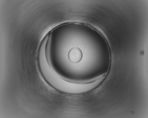 X0000110681093200906261315